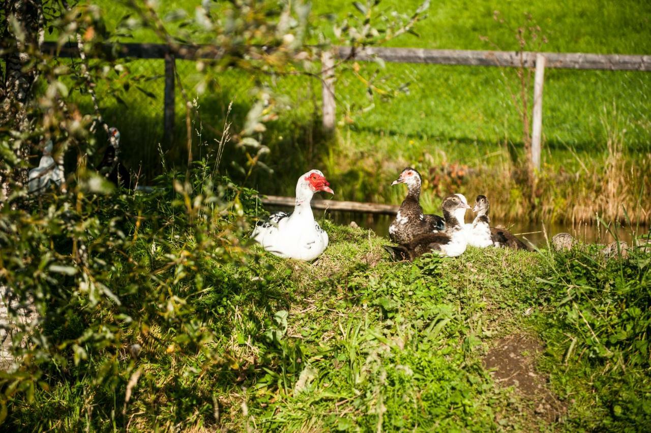 Farm stay Puerstinghof Flachau