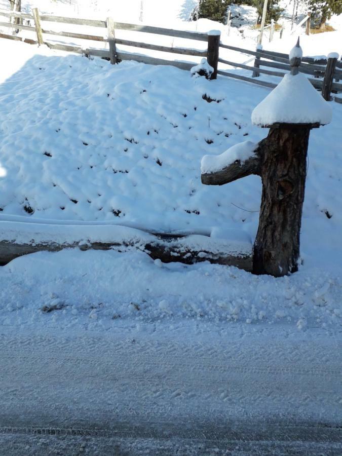Puerstinghof Farm stay Flachau
